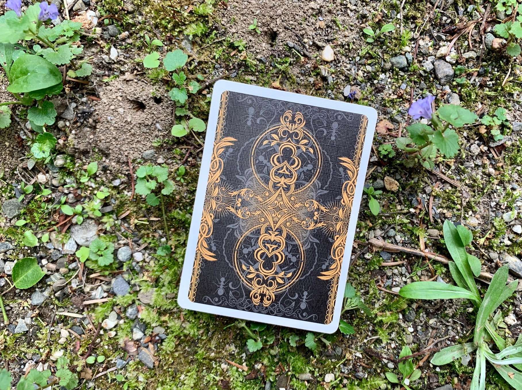 PlayingCardDecks.com-Ant Gilded Bicycle Playing Cards
