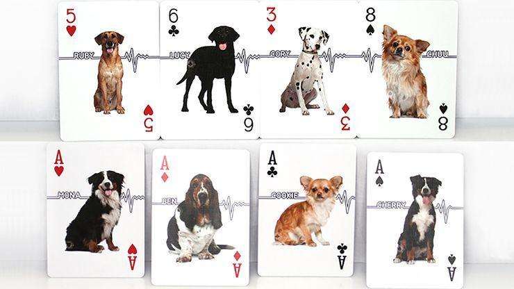 PlayingCardDecks.com-Companion Dog Playing Cards USPCC