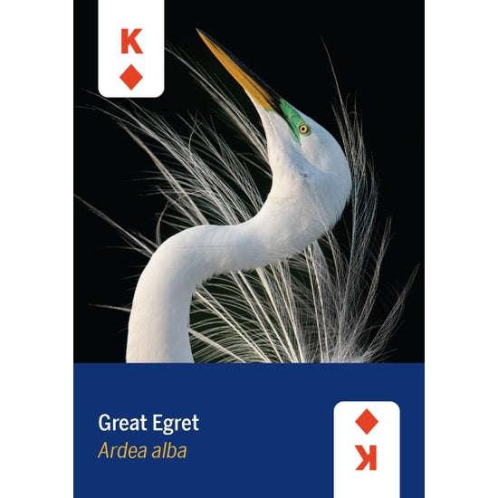 PlayingCardDecks.com-Birds of North America Playing Cards