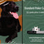 PlayingCardDecks.com-Black Labrador Dog Playing Cards