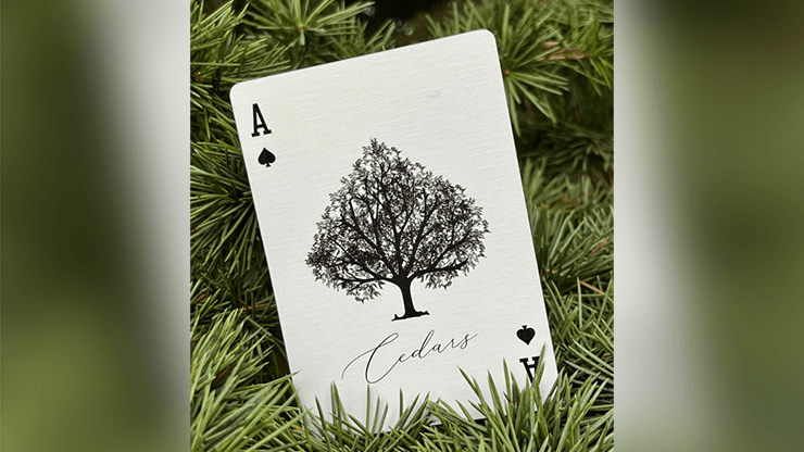 PlayingCardDecks.com-Cedars Gilded Playing Cards WJPC