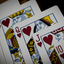 PlayingCardDecks.com-Cherry Casino Limited Monte Carlo Black & Gold Playing Cards USPCC