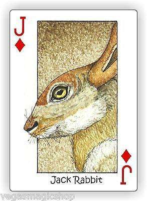 PlayingCardDecks.com-Wild Playing Cards Hidden Seek-N-Find Animals Deck