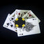 PlayingCardDecks.com-Luxx Shadow Gold v2 Playing Cards LPCC