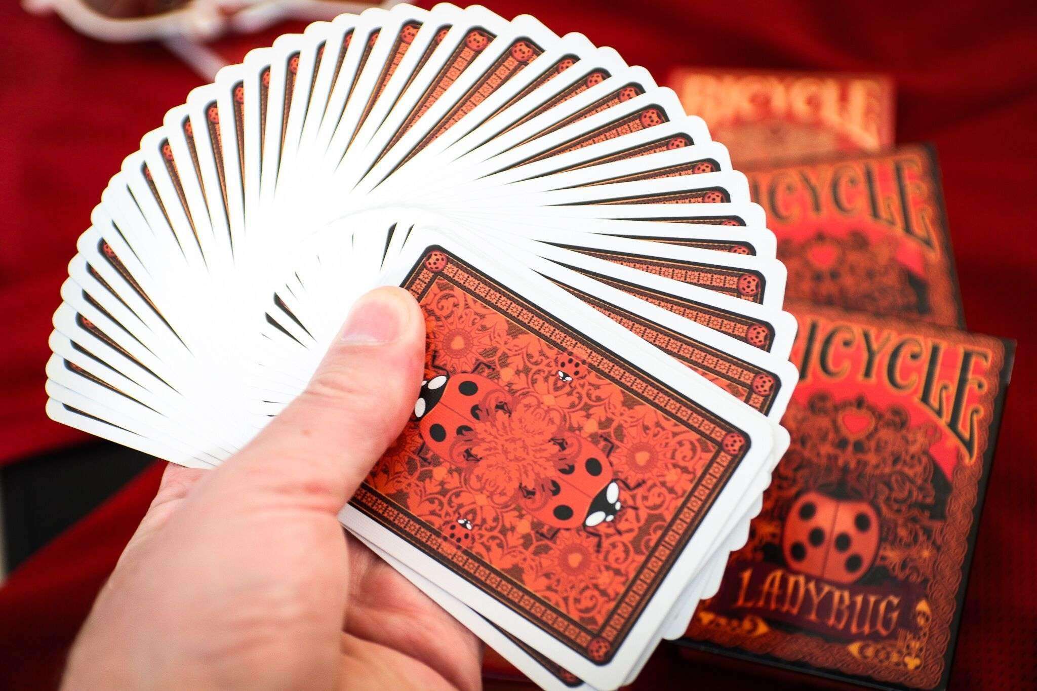 Ladybug Bicycle Gilded Playing Cards