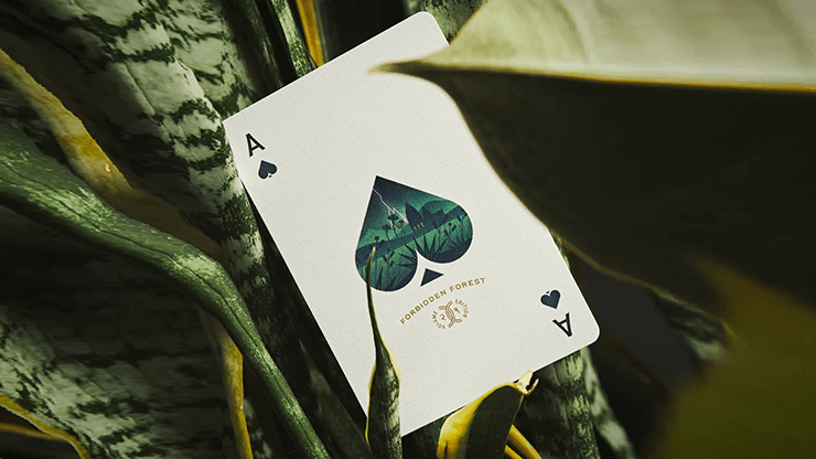 PlayingCardDecks.com-Forbidden Forest v2 Playing Cards USPCC