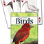 PlayingCardDecks.com-Gulf Coast Birds Playing Cards