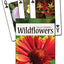 PlayingCardDecks.com-Gulf Coast Wildflowers Playing Cards