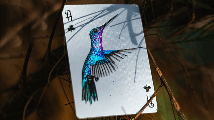 PlayingCardDecks.com-Hummingbird Feathers Red Playing Cards Cartamundi