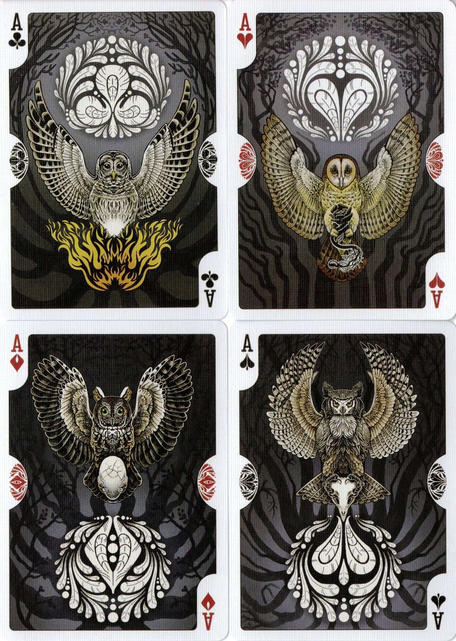 Bicycle owl playing online cards