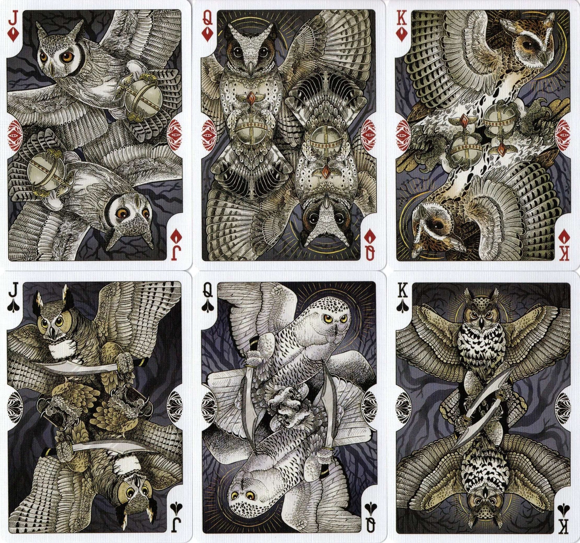 PlayingCardDecks.com-Strigiformes Owl Bicycle Playing Cards