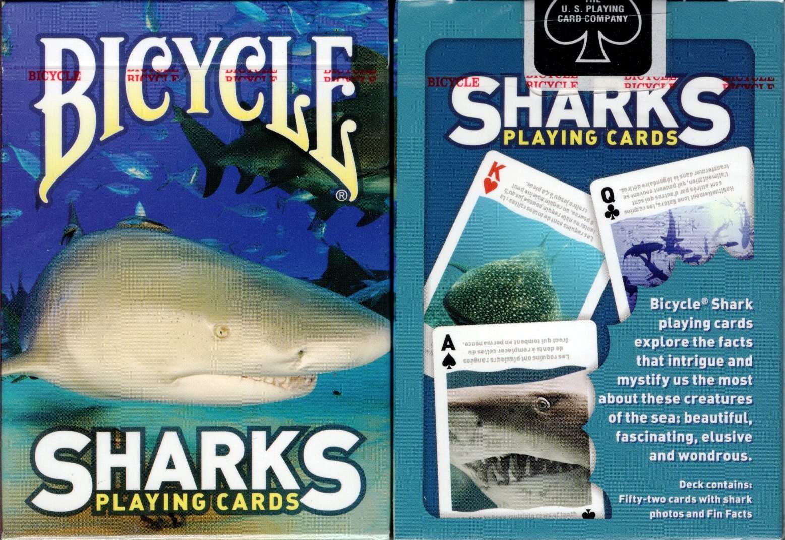 PlayingCardDecks.com-Sharks Bicycle Playing Cards