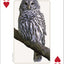 PlayingCardDecks.com-Midwest Birds Playing Cards