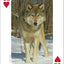 PlayingCardDecks.com-Midwest Mammals Playing Cards
