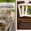 PlayingCardDecks.com-Northeast Mammals Playing Cards