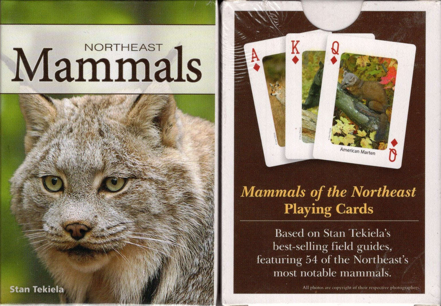 PlayingCardDecks.com-Northeast Mammals Playing Cards
