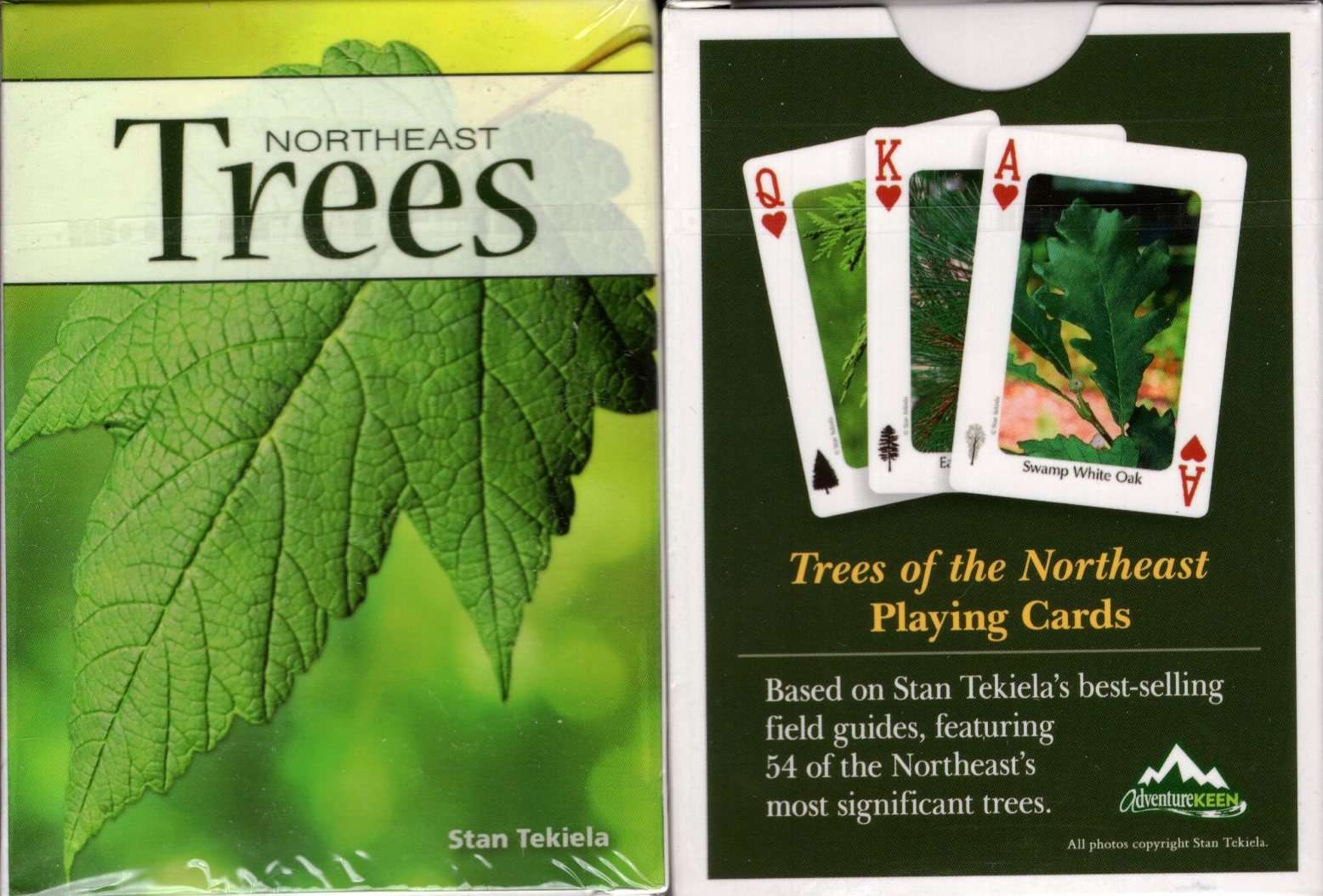 PlayingCardDecks.com-Northeast Trees Playing Cards