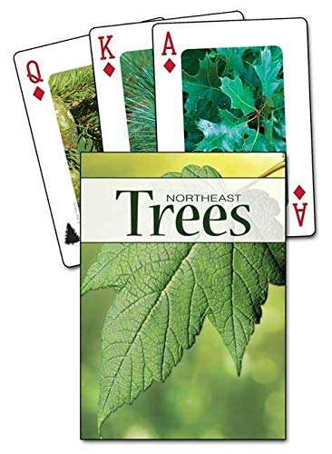 PlayingCardDecks.com-Northeast Trees Playing Cards
