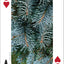 PlayingCardDecks.com-Northwest Trees Playing Cards