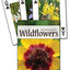 PlayingCardDecks.com-Northwest Wildflowers Playing Cards