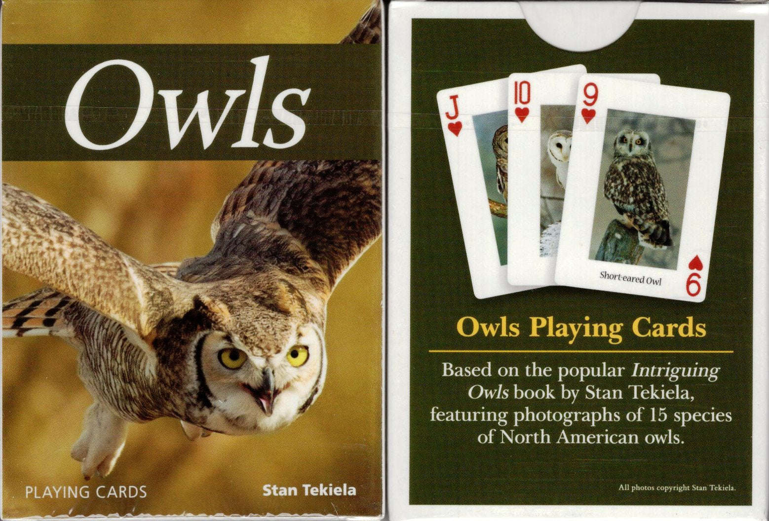 bicycle owl playing cards