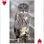 PlayingCardDecks.com-Owls Playing Cards