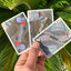 PlayingCardDecks.com-Parrot Extinct Bicycle Playing Cards
