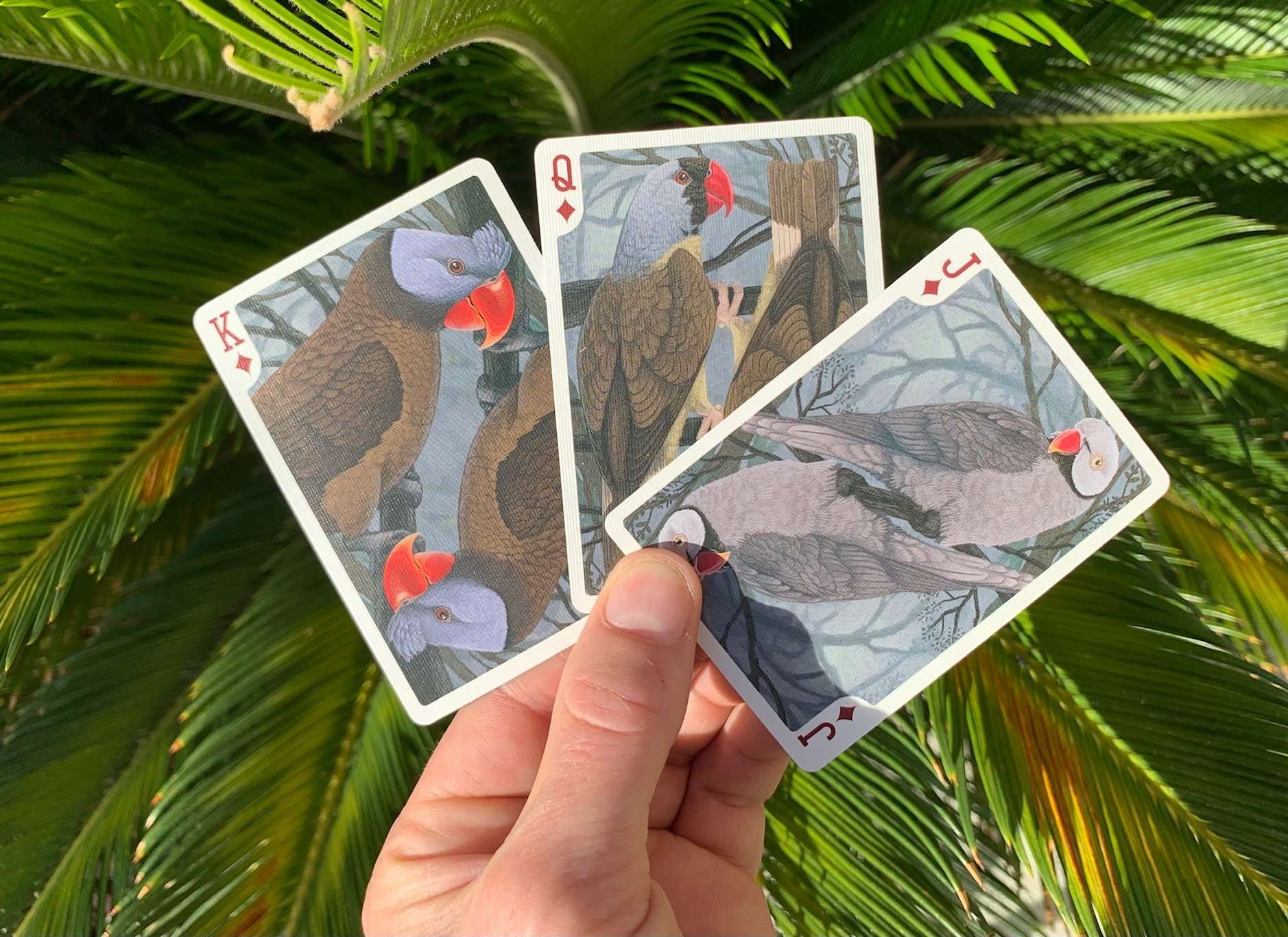 PlayingCardDecks.com-Parrot Extinct Bicycle Playing Cards