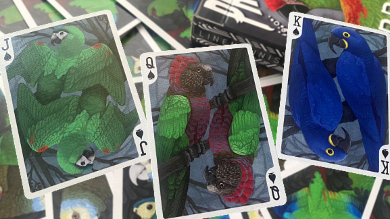 PlayingCardDecks.com-Parrot Prototype Playing Cards MPC