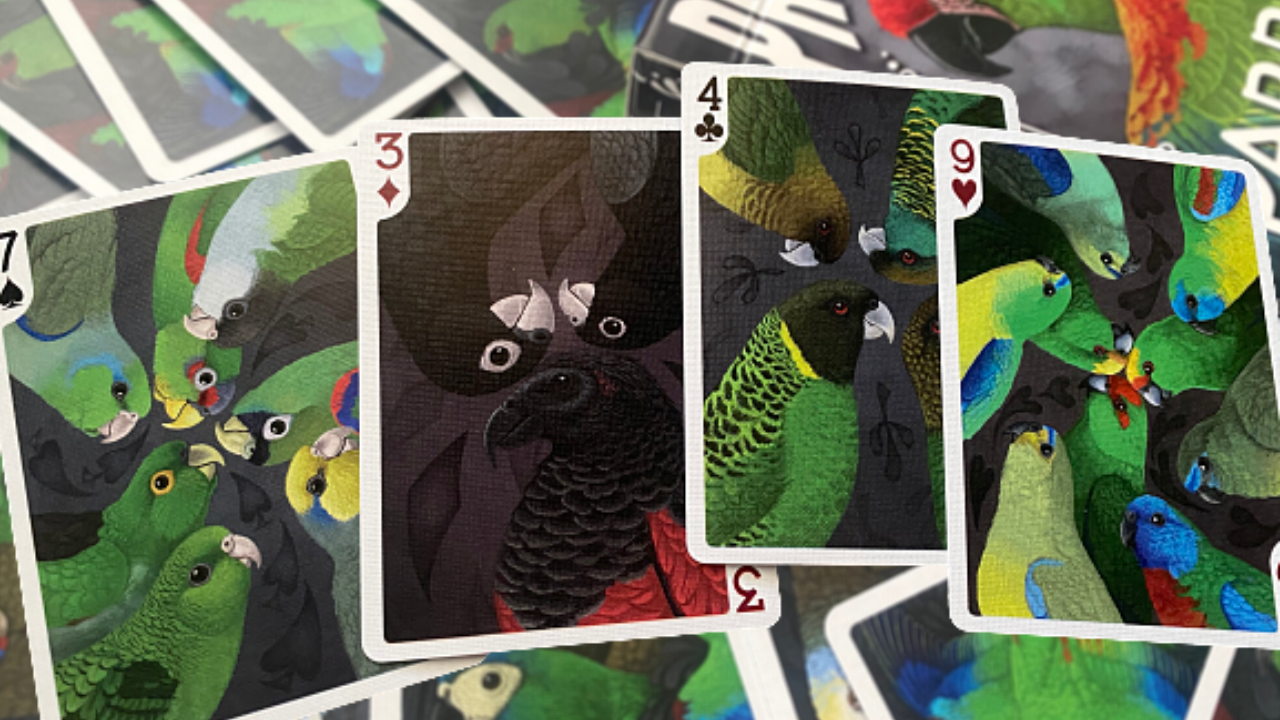 PlayingCardDecks.com-Parrot Prototype Playing Cards MPC