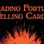 PlayingCardDecks.com-Reading Fortune Telling Cards Deck & Book Set USGS