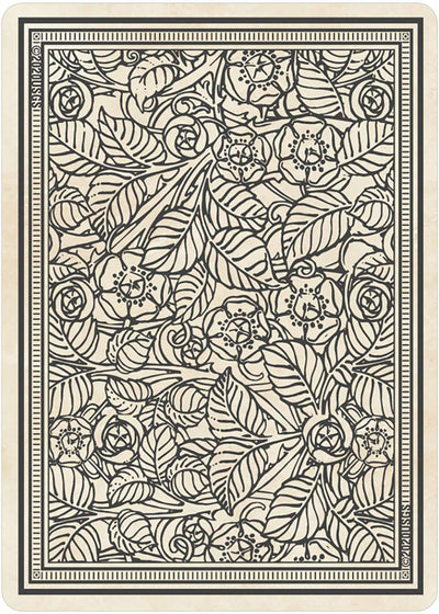 PlayingCardDecks.com-Rider-Waite Playing Card Tarot Deck USGS