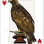PlayingCardDecks.com-Rocky Mountain Birds Playing Cards