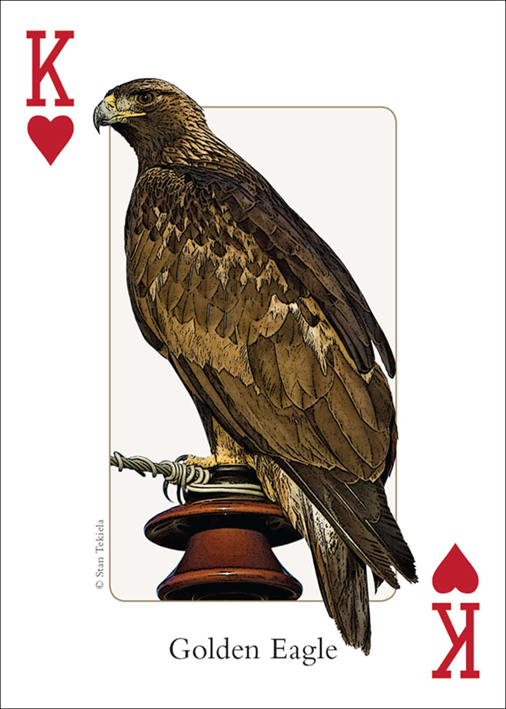 PlayingCardDecks.com-Rocky Mountain Birds Playing Cards