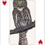 PlayingCardDecks.com-Rocky Mountain Birds Playing Cards