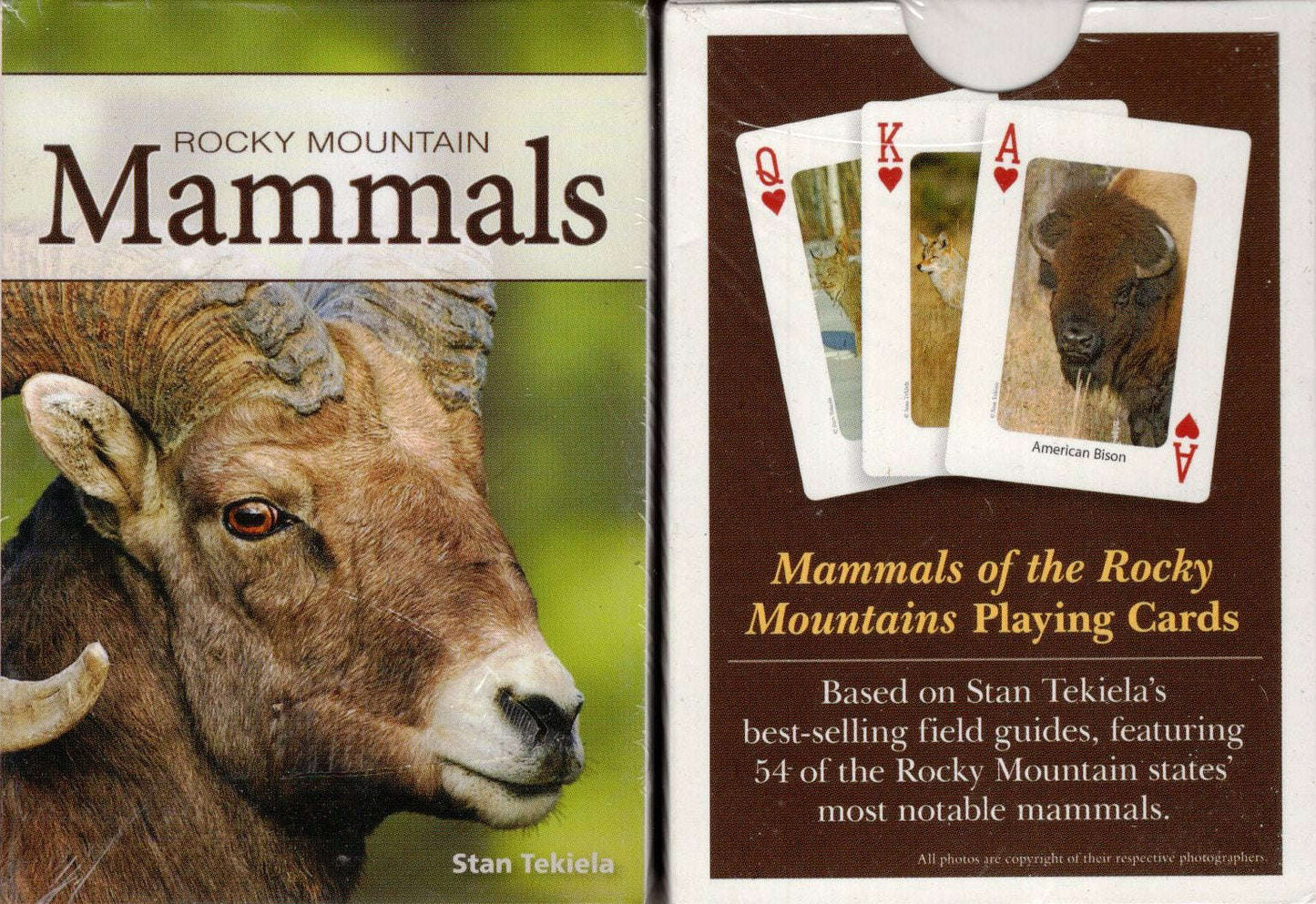 PlayingCardDecks.com-Rocky Mountain Mammals Playing Cards