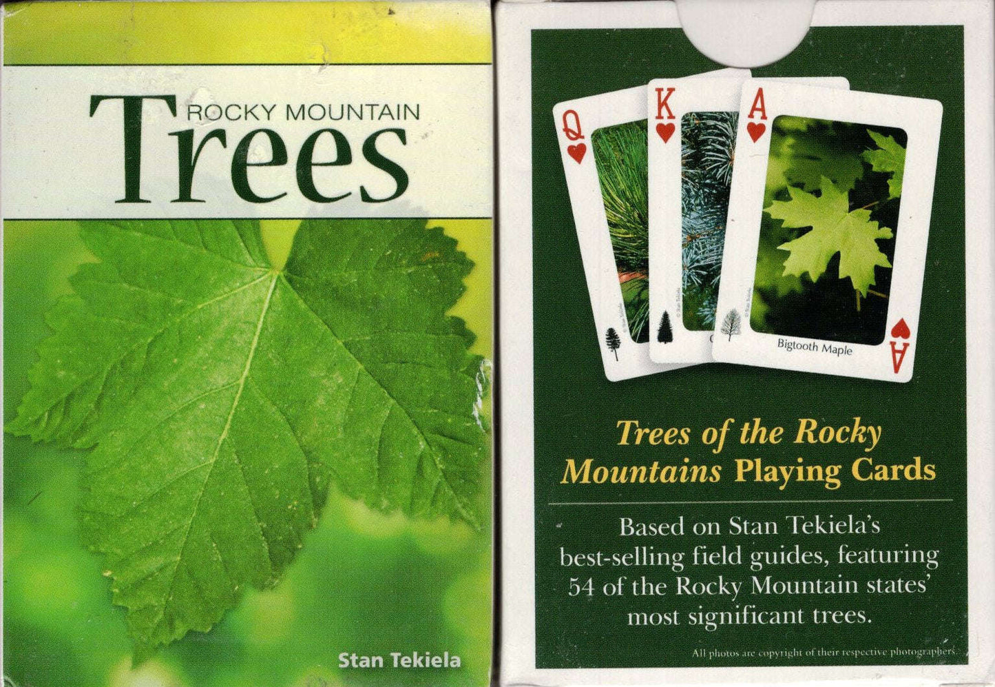 PlayingCardDecks.com-Rocky Mountain Trees Playing Cards