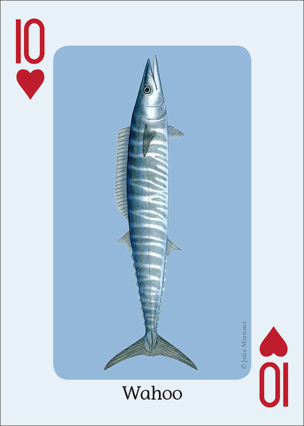 PlayingCardDecks.com-Saltwater Fish of the Gulf & Atlantic Playing Cards