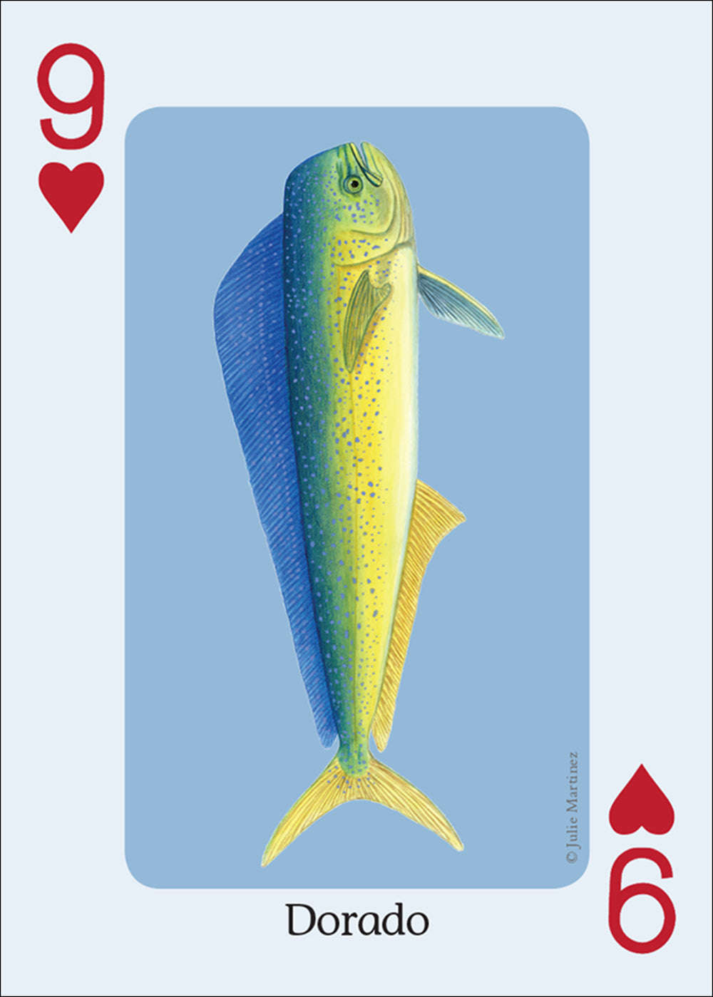 https://playingcarddecks.com/cdn/shop/products/saltwater-fish-of-the-gulf-atlantic-playing-cardsplayingcarddeckscom-31571316.jpg?v=1664830593&width=1445