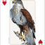 PlayingCardDecks.com-Southwest Birds Playing Cards