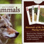 PlayingCardDecks.com-Southwest Mammals Playing Cards