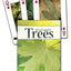 PlayingCardDecks.com-Southwest Trees Playing Cards