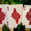 PlayingCardDecks.com-Succulents Gilded Playing Cards USPCC
