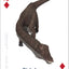 PlayingCardDecks.com-The Amazing World of Dinosaurs Playing Cards