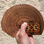PlayingCardDecks.com-Trojan War Gilded Bicycle Playing Cards